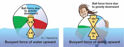 CHAPTER 5: DENSITY AND BUOYANCY Floating A beach ball Why does a beach ball float? How do you get a beach ball underwater?