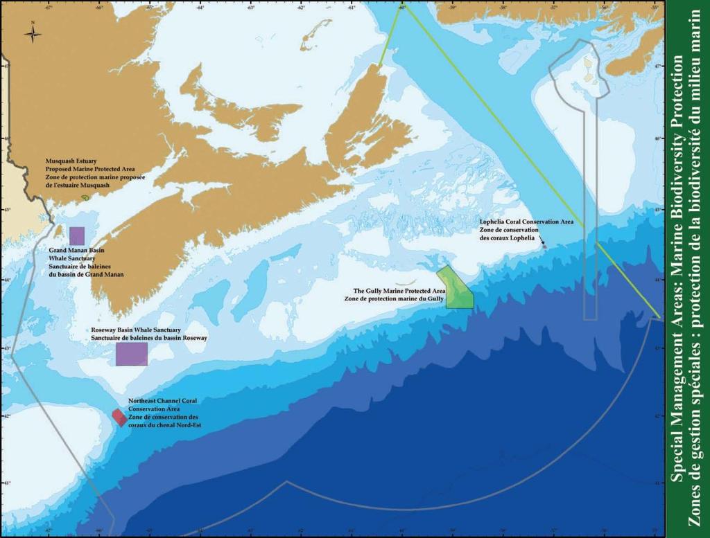 32 Figure 8. Map of protected areas in the ENS region (Breeze, Horsman, Federal-Provincial Eastern Scotian Shelf Integrated Management (ESSIM). Planning Office & Canada Dept. of Fisheries and Oceans.