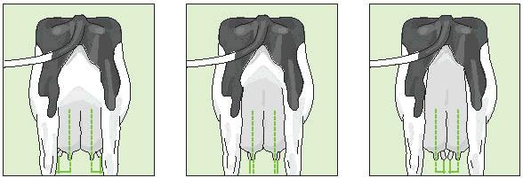 Shallow 13: Front Teat Placement (FTP) The position of the front teat from the centre of the quarter as