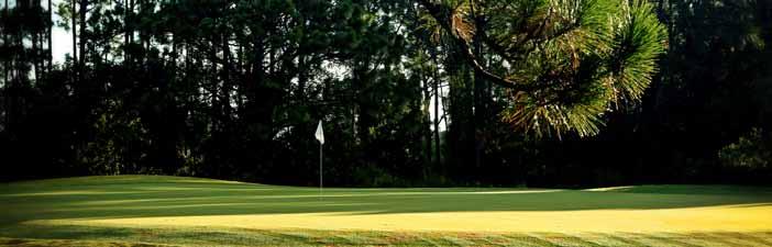 com LOCATION: 100 Rotonda Circle Rotonda Pinemoor @ Rotonda Golf & Country Club Pinemoor is the newest addition to the Rotonda collection of courses.