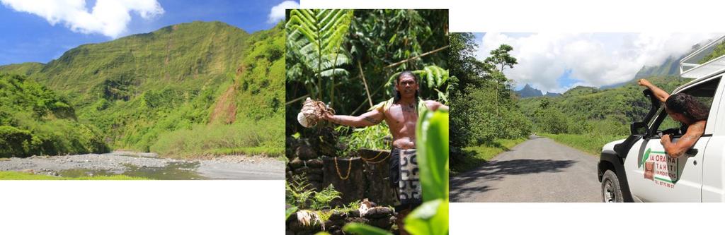 HALF DAY 4X4 SAFARI (Papenoo Valley) - Ia orana Tahiti Expeditions Drive to Papenoo on East Coast of Tahiti (18 kms) Drive along Papenoo, the largest valley of Tahiti, following the river, several