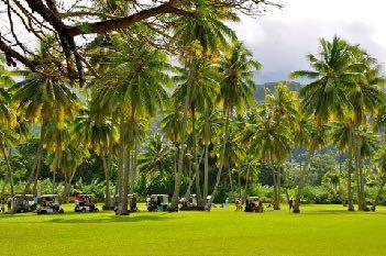 Golfing Available in Tahiti (Olivier Breaud