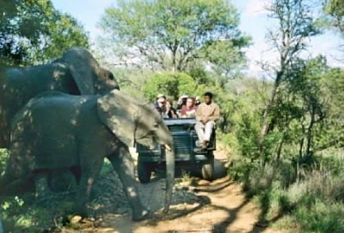 Enjoy a relaxing evening in the African Wilderness. BREAKFAST/LUNCH/DINNER INCLUDED 2.