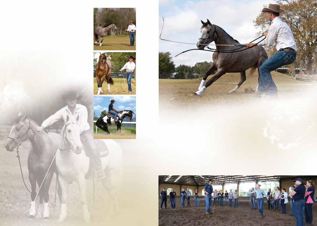 ground control long reining body control under saddle Discover for yourself the revolutionary techniques that make Double Dan Horsemanship Clinics a once-in-a-lifetime experience!