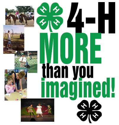 Projects & Activities Project & Activity Opportunities Throughout the year 4-H Newsletters and 4-H News Columns will offer special opportunities and/or make changes on activities and dates.
