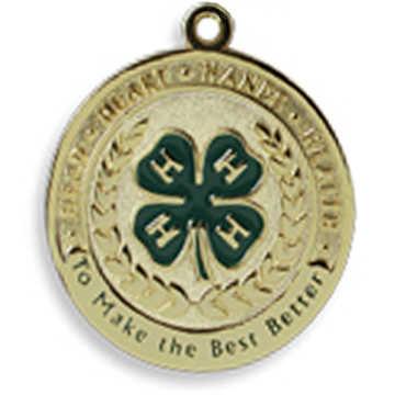 2. The 4-H member must timely submit a record book in the year he or she is to be considered for the award. 3. The 4-H member must have completed projects in three different project areas.