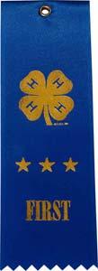 Special awards are given at the county level based on the total number of projects completed for the current 4-H year.