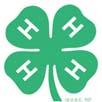 4-H Emblem The 4-H Club emblem is a four leaf clover with the letter H on each leaf. The four H s stand for Head, Heart, Hands, & Health.