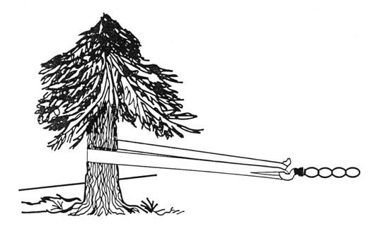 bridle a tree with your winch line. Prolongs winch life and protects trees.