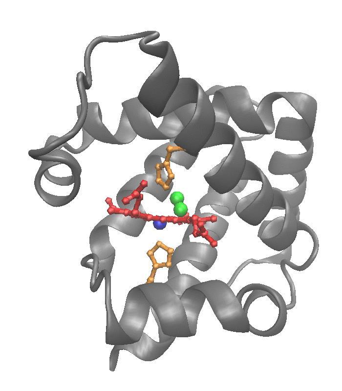 Hemoglobin Allostery: Intra-Subunit ( ) Unlike Mb, Hb undergoes a substantial intra-subunit conformational change upon oxygen binding deoxyhb <=> oxyhb (Only monomer