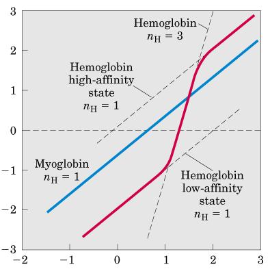 O2 Binding to Hemoglobin: Hill Plot Myoglobin Hill plot is essentially linear indicative of non-cooperative binding as expected (n=1 and K=3 Torr) : -nlogk = -0.5 @ log(po2)=0 => logk = 0.