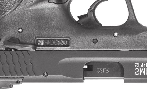 Ambidextrous Manual Safety Trigger Guard Trigger