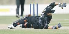 22 Cricket Review TelstraClear White Ferns The TelstraClear White Ferns international season started in June/July 2002 with an extensive European tour to The Netherlands, Ireland and