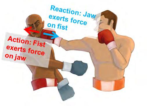Figure 13: Examples of action-reaction forces: (Left) Mr. Alpha punching Mr. Beta. (Right) Man pushing a rock.