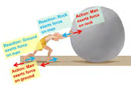 The man exerts a force on the rock so the rock exerts a force back on him. If he was on roller skates he d move backwards and the rock would move forward.