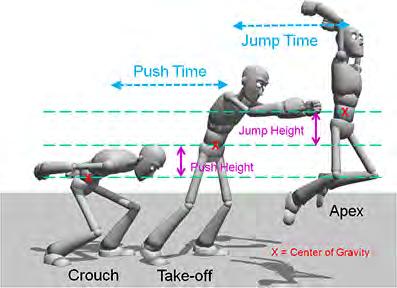 Figure 19: Elements of a jump from start to apex; the second half, from apex to settle, is similar. The character s position is measured from its center of gravity. jump to look believable.