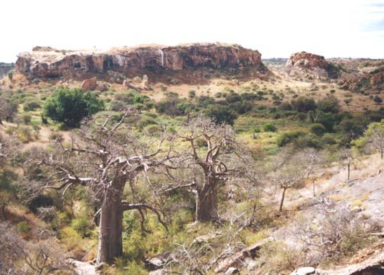 Mapungubwe Hill
