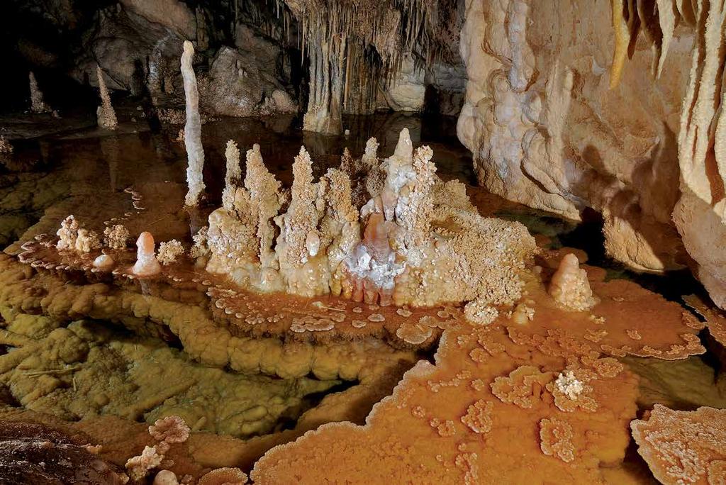 Pristine pool fringed by shelfstone and popcorn covered stalagmites in
