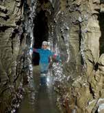 NSS membership provides the world s largest fellowship and exploration network for cavers. The country s leading speleologists and karst hydrologists belong to the NSS.