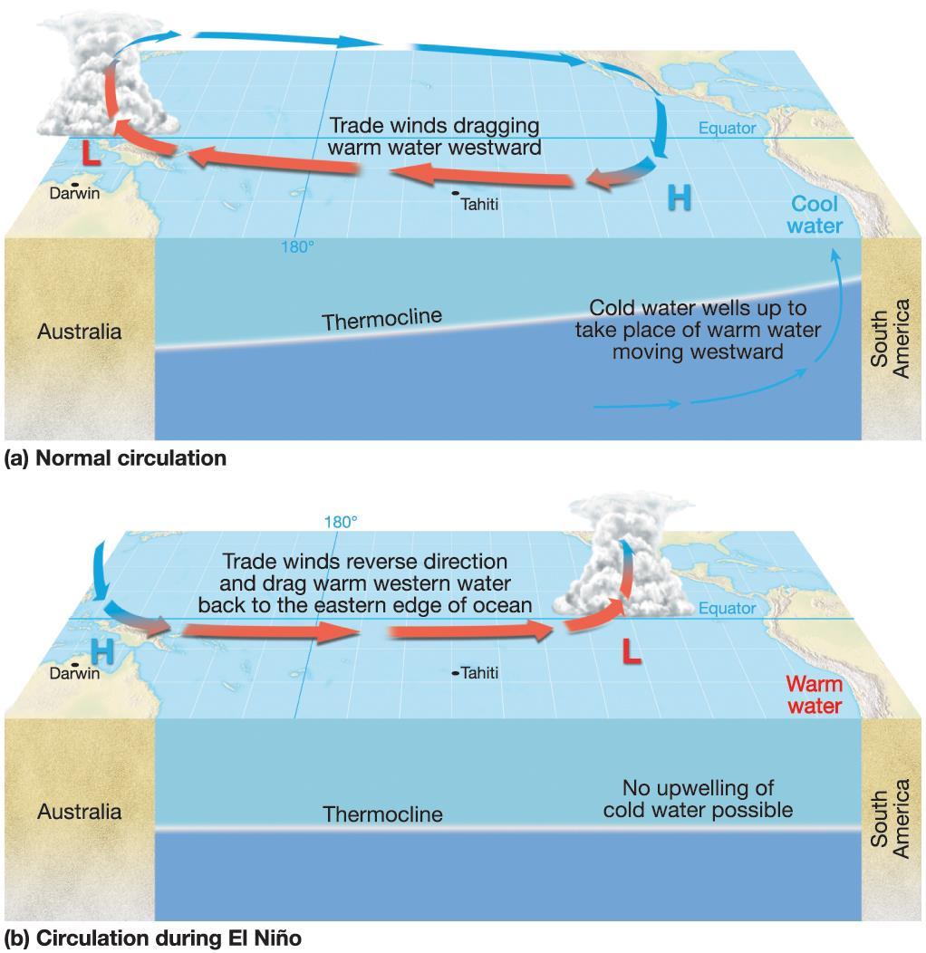 El Niño-Southern Oscillation Circulation