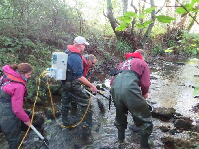 A 2016 brown trout fry (0+ age) A 2015 brown trout parr (1+ age) A brook lamprey Operation Traverse - Tackling Illegal Fishing Activities A national campaign, Operation Traverse, was