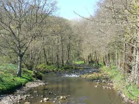 I would in particular highlight the Glaisdale Beck Restoration Project. This seeks to address issues relating to water quality, improve habitats and the removal of barriers.