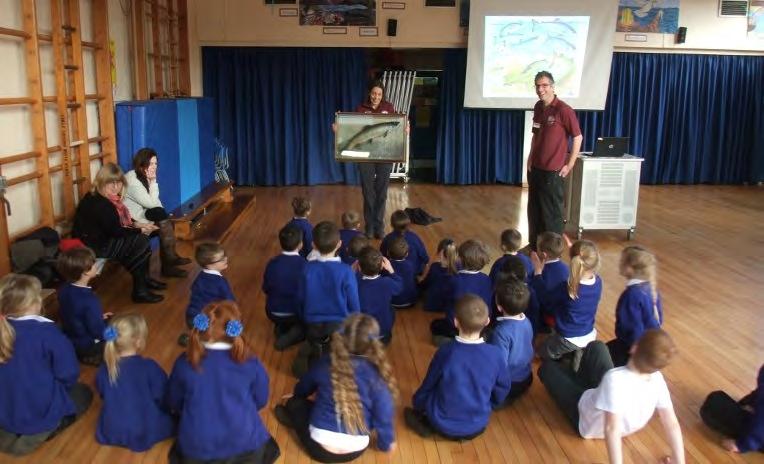 Salmon in the Classroom In 2016 Sleights Primary School did a fantastic job at looking after young salmon fry