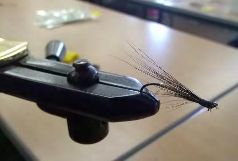 Two sessions were held where expert volunteer Peter Robinson guided the young anglers through the art of fly Taster Day tying, and everyone did a fantastic job and produced some great results.