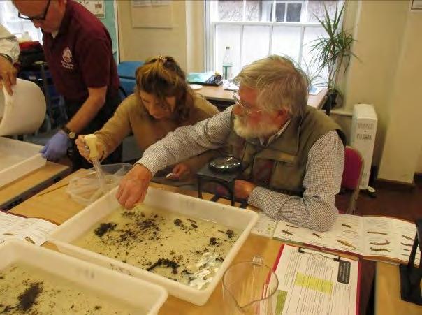 Riverfly Monitoring It s been a busy year for our Riverfly Monitoring Volunteers, we now have 23 volunteers monitoring