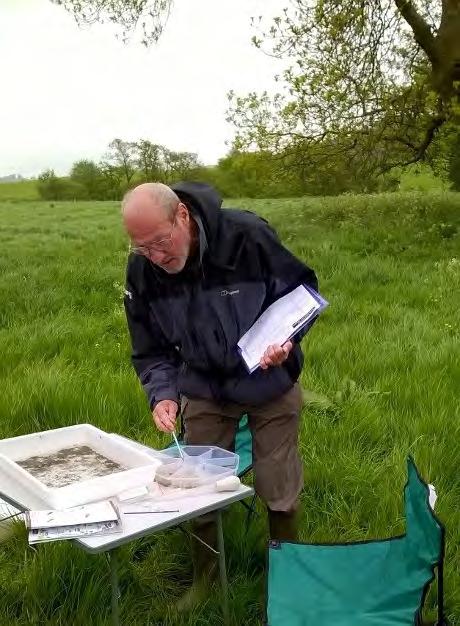 Partnership tutor, volunteers are now identifying some riverflies down to species level, and also discovering many