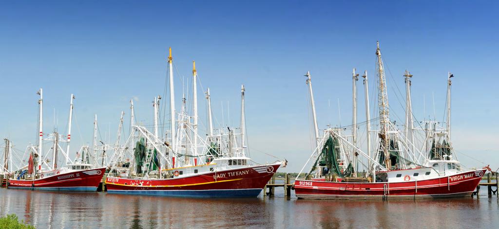 Bulletin 1204 May 2013 Estimation of the Baseline for Assessment of Economic Impacts of the Gulf of Mexico Oil Spill on Mississippi s Commercial Fishing Sector