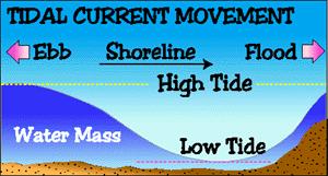 Wave height depends upon wind strength, fetch (distance wind blows over water) and duration (length of time the wind blows).