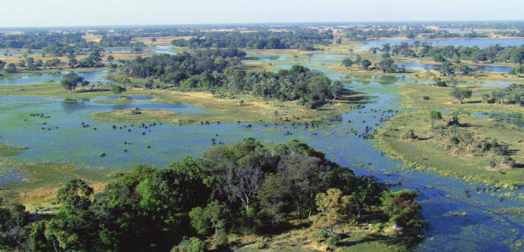 The Earth and the Sun THE OKAVANGO DELTA WATER IN A DRY SEASON: OKAVANGO FACTS the Okavango delta in Botswana is an inland wetland it is one of the largest wetlands in the world the flooding of the