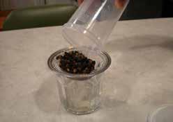 How To Conduct The Test Brush or shake approximately two hundred bees into the jar containing 3/4 cup of alcohol or dishwashing detergent soap solution.