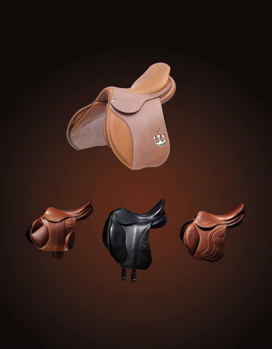 Balance, Beauty, and Performance A New Generation of Saddles Jacques Ferland