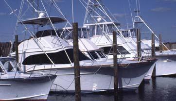 Going way out Vessel owners or operators who recreationally fish for regulated Atlantic tunas (bluefin, yellowfin, bigeye, albacore, and skipjack), sharks, swordfish, and billfish must obtain a