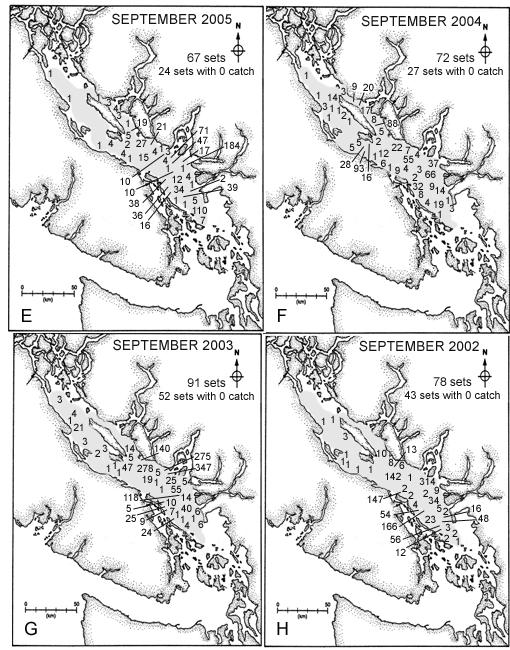 Figure 15 (Continued). Observed sockeye salmon catches (in 3 minutes) in September trawl surveys for E) 25, F) 24, G) 23 and H) 22.