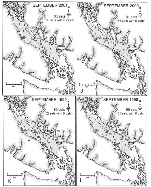 Figure 15 (Continued). Observed sockeye salmon catches (in 3 minutes) in September trawl surveys for I) 21, J) 2, K) 1999 and L) 1998.