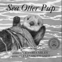 Sea Otter Pup TEACHER S NOTES by Victoria Miles, illustrated by Elizabeth Gatt Sea Otter Pup describes a day in the life of a young sea otter as he is fed and groomed by his mother, learning the