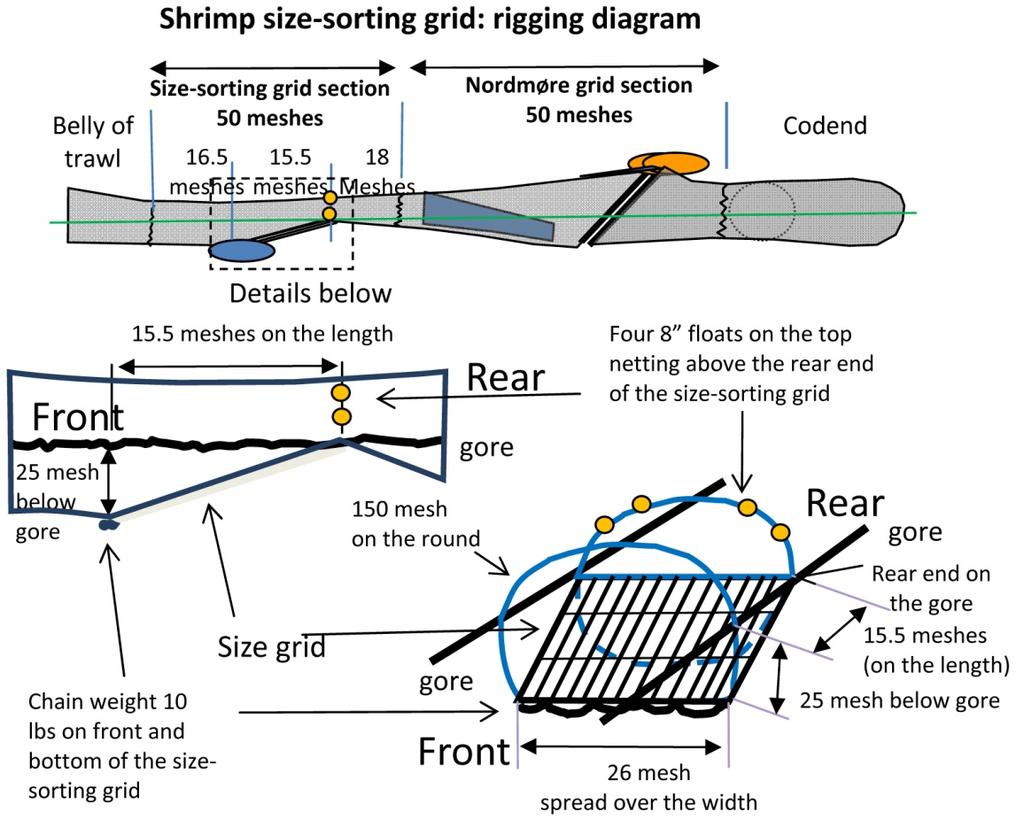 Shrimp size sorting grid: rigging diagram (He and Balzano 2012) Option A: Status Quo A double Nordmore grate may be used while fishing for northern shrimp.