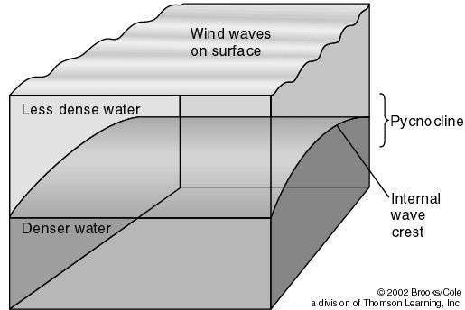 Internal Waves Waves that occur at