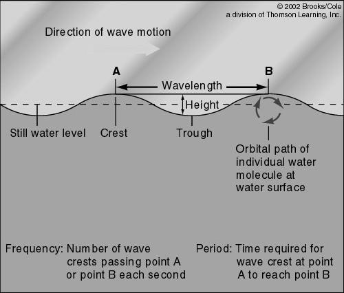 Key Ideas Waves transmit energy, not water mass, across the ocean s surface. The behavior of a wave depends on the relation between the wave s size and the depth of water through which it is moving.