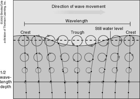 Motion of Water as Wave Passes Water in the crest of the wave move in the same direction as the wave, but water in the trough move in the