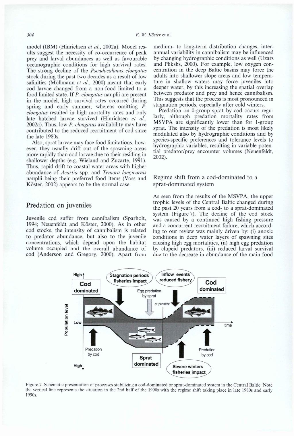 304 F. W. Köster et al. model (IBM) (Hinrichsen et al., 2002a).