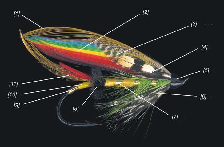 Anatomy of a Salmon Fly The only thing that can take me away from my computer and CorelDRAW is fly-fishing, my favorite hobby.