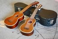 , June 19-July 31 from 7:15-8 pm Gladstone High Tuition: $69 Materials fee: $8 Total $77 No class July 3. UKULELE BEGINNING I ALL AGES Easy to play, inexpensive, lots of fun!
