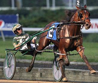With the USTA s online entry program, harness racing becomes the first of the racing breeds in North America to have the capability to enter horses electronically.