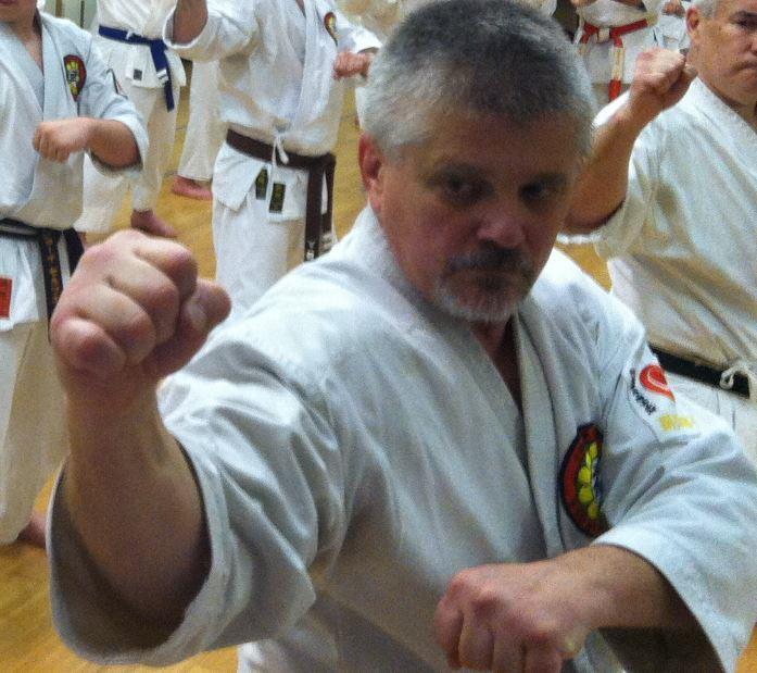 Sensei David Williams, Renshi/5 th Dan Sensei Williams began his karate training in Shorin-Ryu karate in 1992 under Sensei Vernon Mason.
