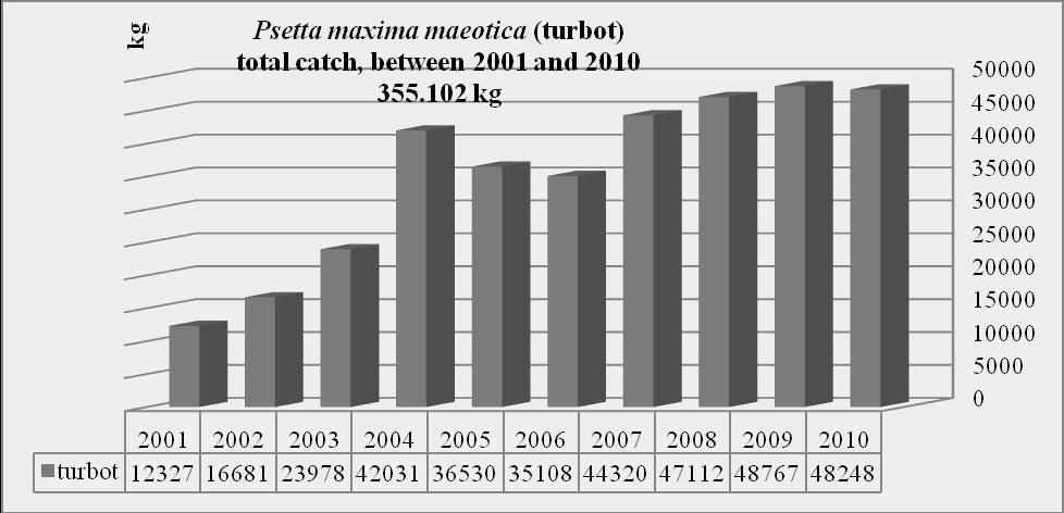 Fig. 2 - Turbot catches during 2000-2010 In the coastal area of the Romanian shallow marine sector, fishing with fixed tools is characterized by concentrating the activity in the first three/four