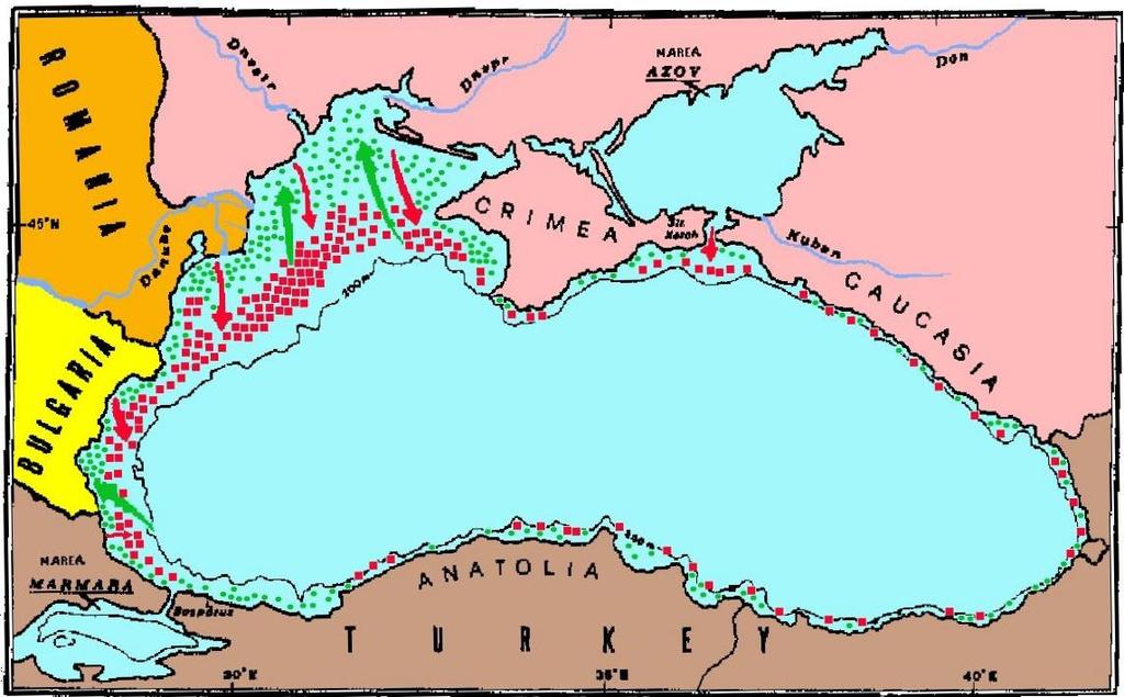 State of the Black Sea Whiting (Merlangius merlangus euxinus) (Nordmann, 1840) 1.